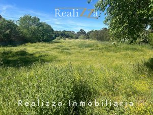Parcela en somosaguas