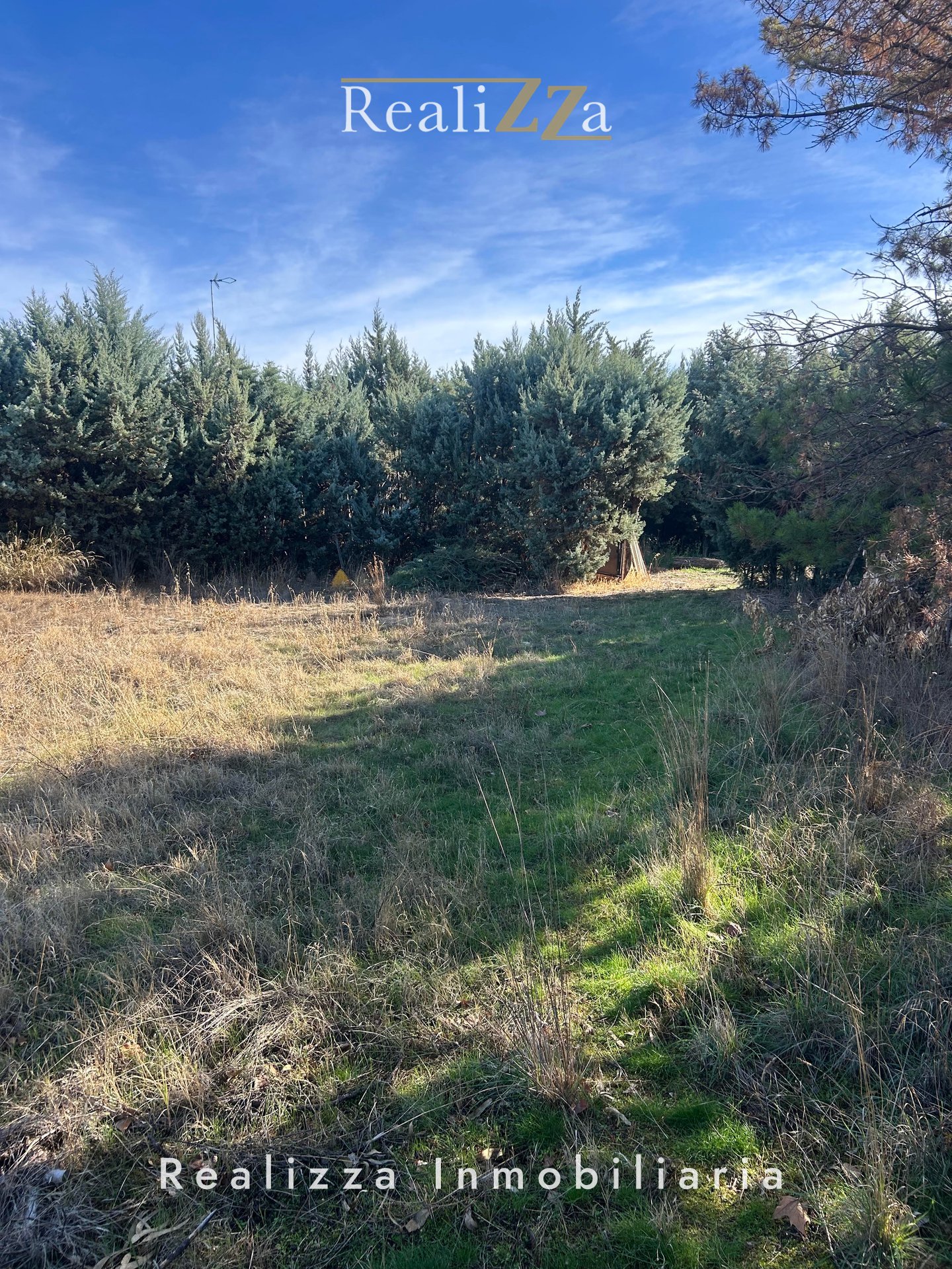 Parcela de  2.600 m2  en Boadilla del Monte