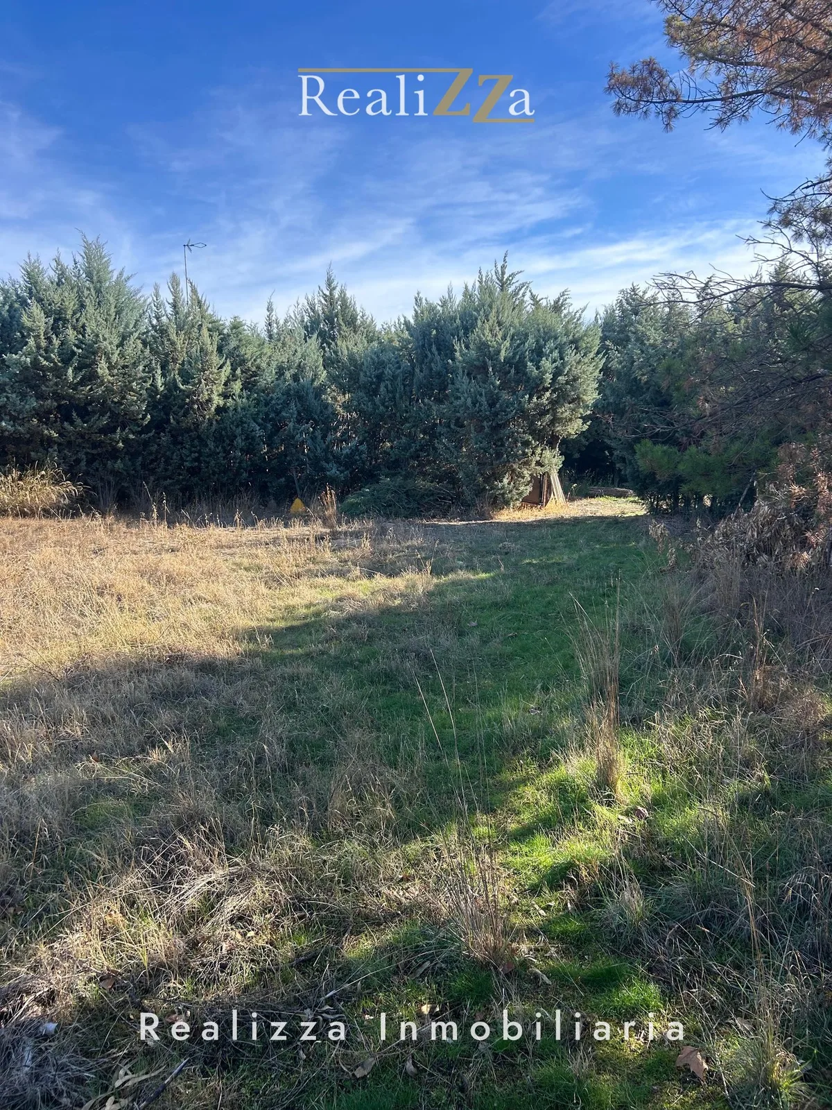 Parcela de  2.600 m2  en Boadilla del Monte