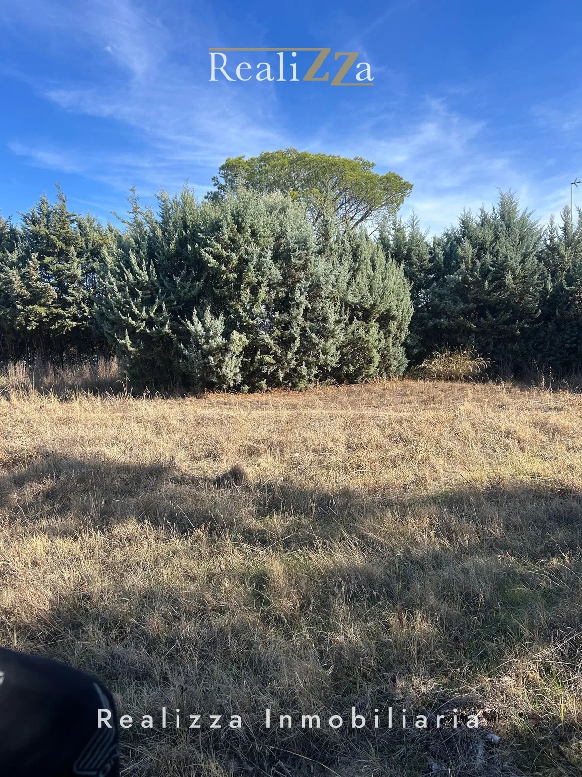 Parcela de  2.600 m2  en Boadilla del Monte 2