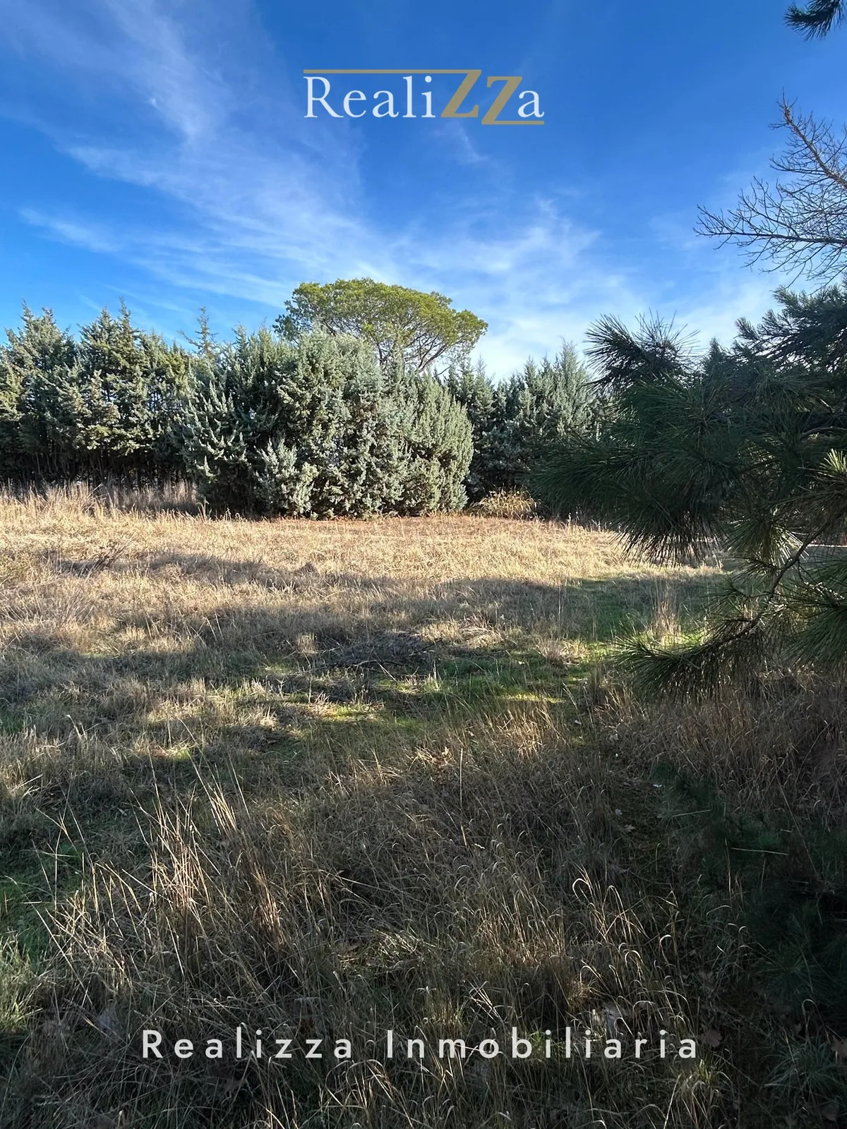 Parcela de  2.600 m2  en Boadilla del Monte 3