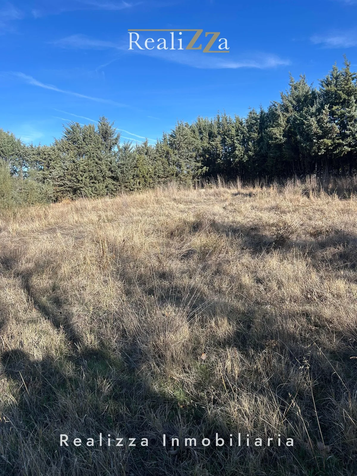 Parcela de  2.600 m2  en Boadilla del Monte 4