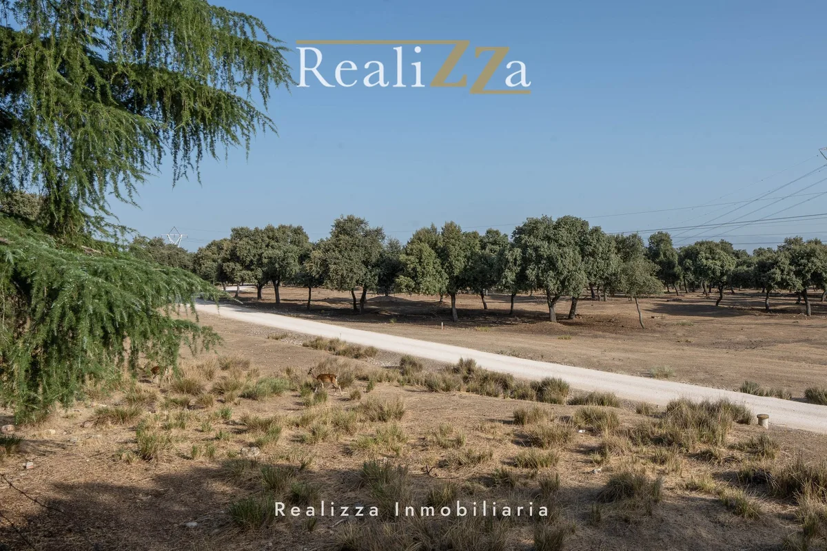 Chalet independiente en la Florida en venta o alquiler 8