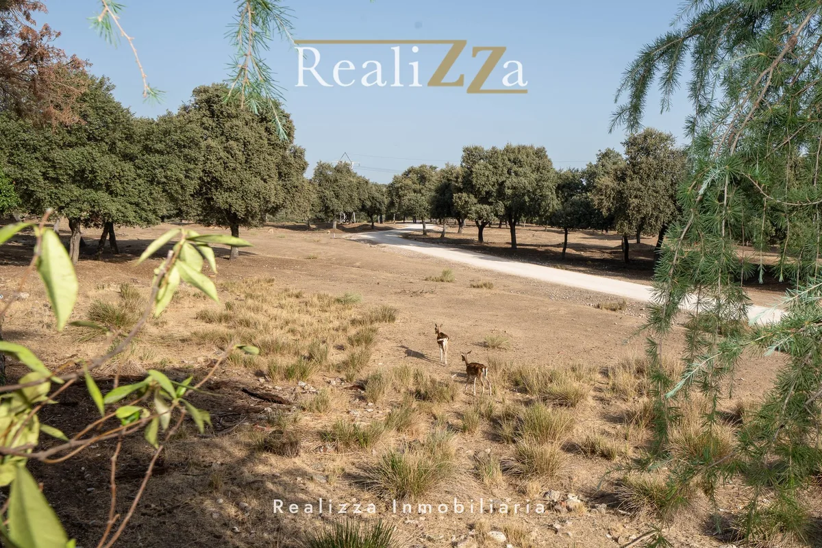 Chalet independiente en la Florida en venta o alquiler 9